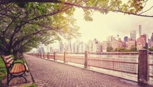 Tree-lined pathway with benches beside a river, facing a city skyline with tall buildings under a cloudy sky.